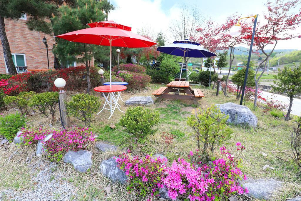 Yeowoogneul Pension Chuncheon Ngoại thất bức ảnh
