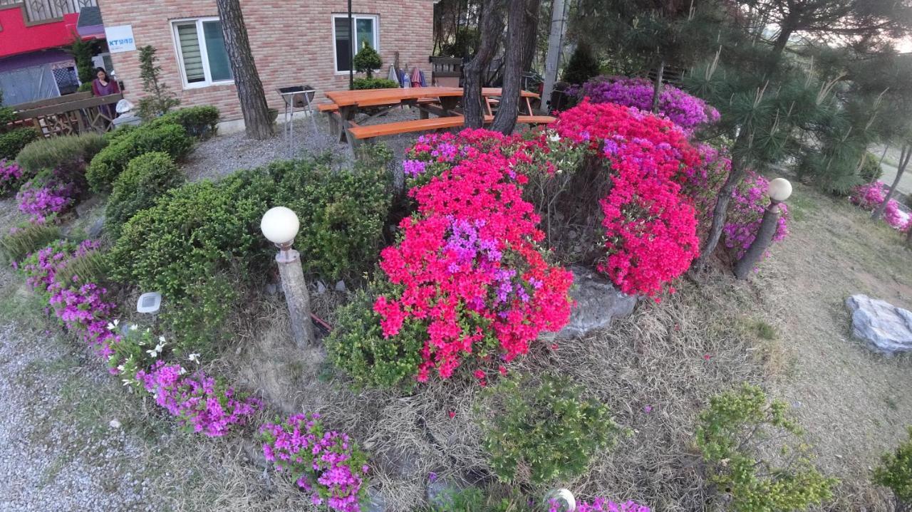 Yeowoogneul Pension Chuncheon Ngoại thất bức ảnh